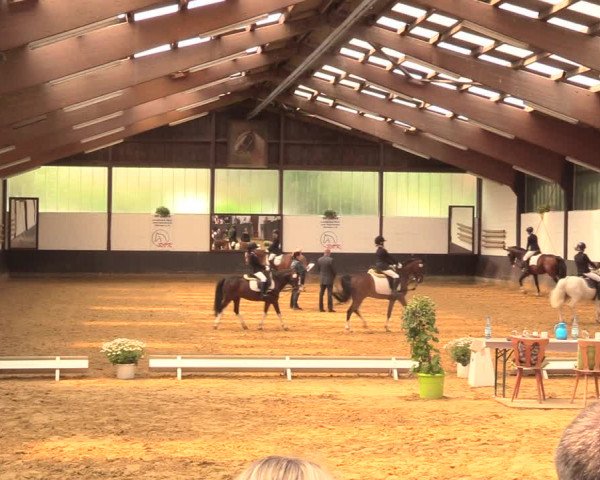 Kiersper Reitertage 2018