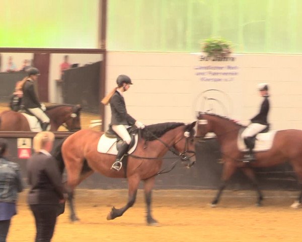 Kiersper Reitertage 2018