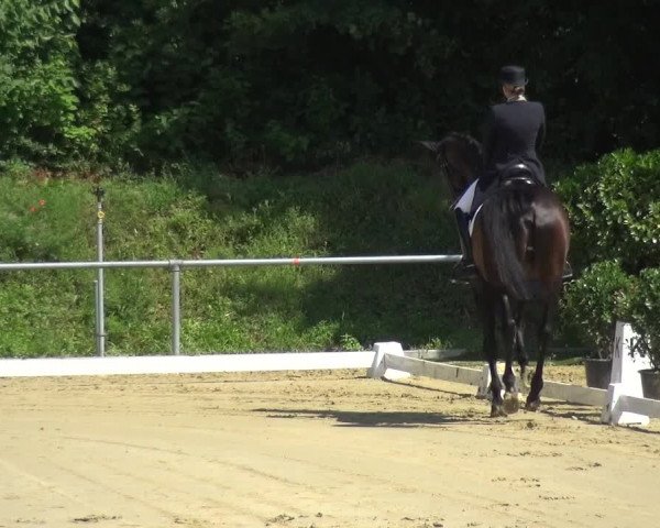 Reitturnier Ladenburg 2018