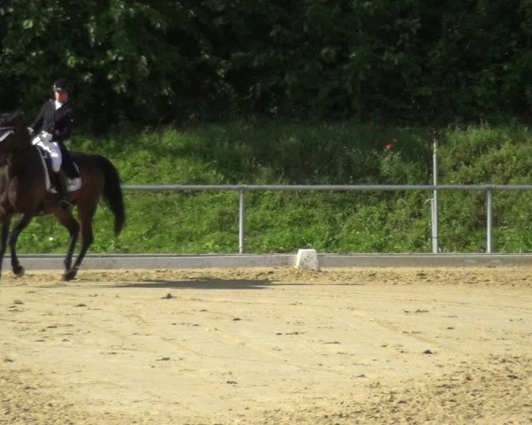 Reitturnier Ladenburg 2018