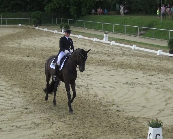 Reitturnier Ladenburg 2018