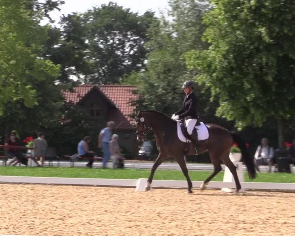 Reitturnier Hille 2018