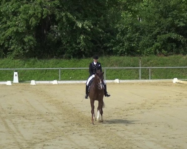 Reitturnier Ladenburg 2018