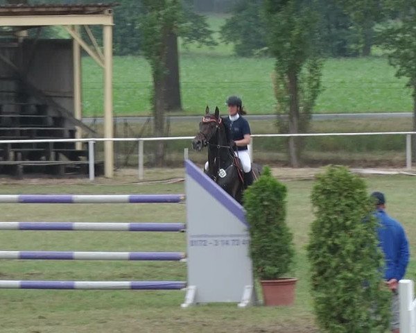 Reitturnier Schwanebeck 2018