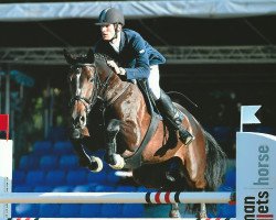 broodmare Bellatrix B (Holsteiner, 2009, from Ab 19 Chepetto)