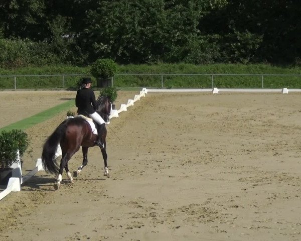 Reitturnier Ladenburg 2018