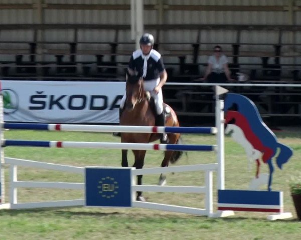 Reitturnier Schwanebeck 2018