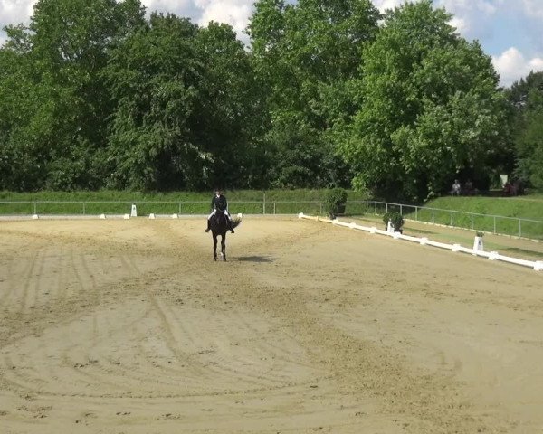 Reitturnier Ladenburg 2018