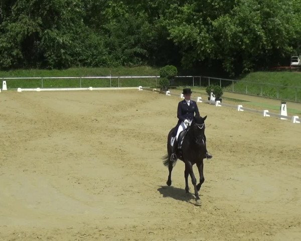 Reitturnier Ladenburg 2018