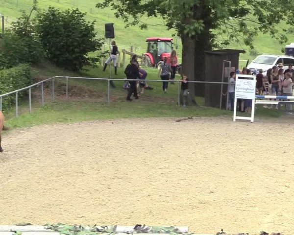 Kiersper Reitertage 2018