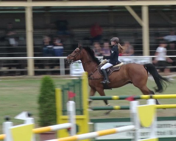 Reitturnier Schwanebeck 2018