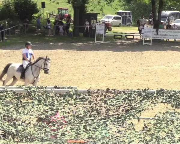 Kiersper Reitertage 2018