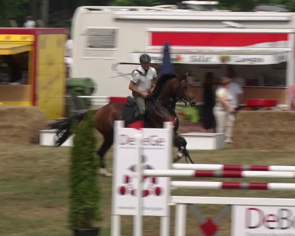 Reitturnier Schwanebeck 2018