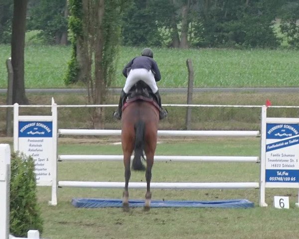 Reitturnier Schwanebeck 2018