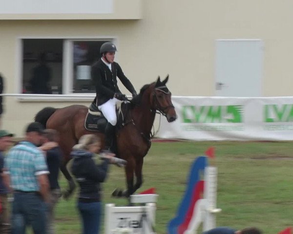 Reitturnier Schwanebeck 2018