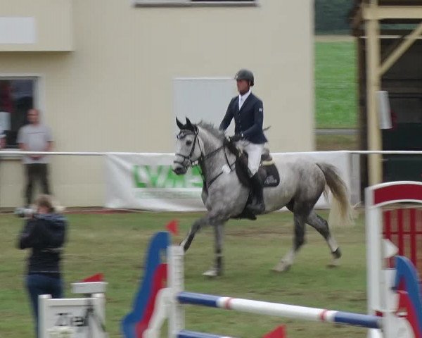 Reitturnier Schwanebeck 2018