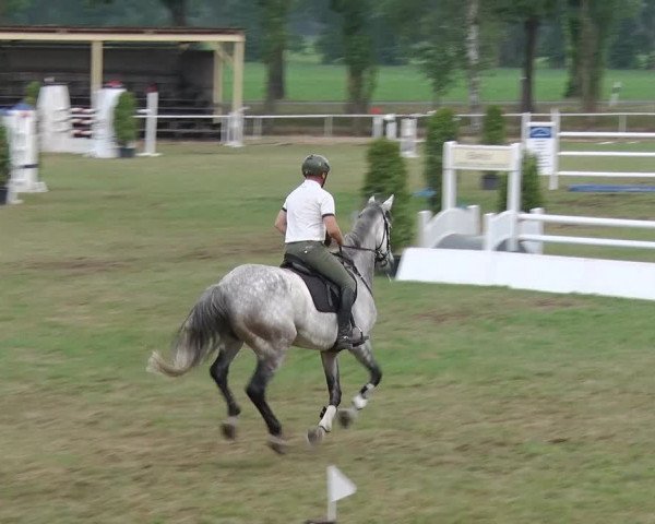 Reitturnier Schwanebeck 2018