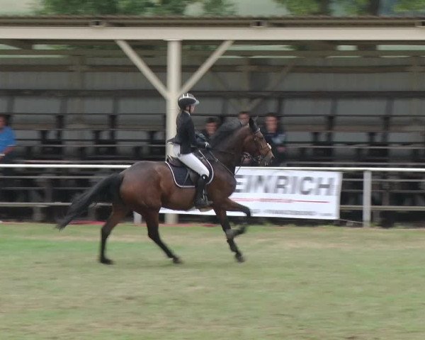 Reitturnier Schwanebeck 2018