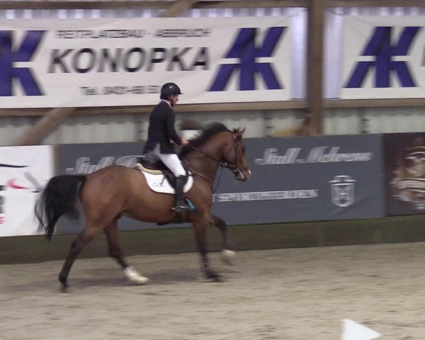 6. Nordic Jumping in Negernbötel 2021