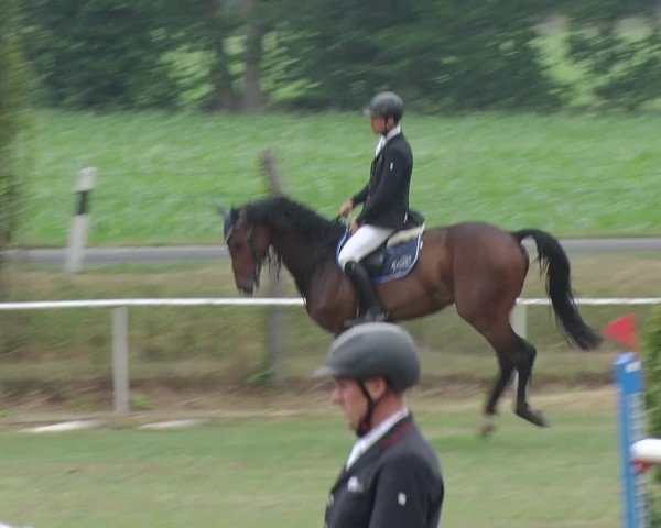 Reitturnier Schwanebeck 2018