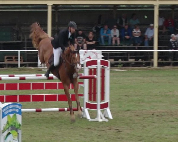 Reitturnier Schwanebeck 2018