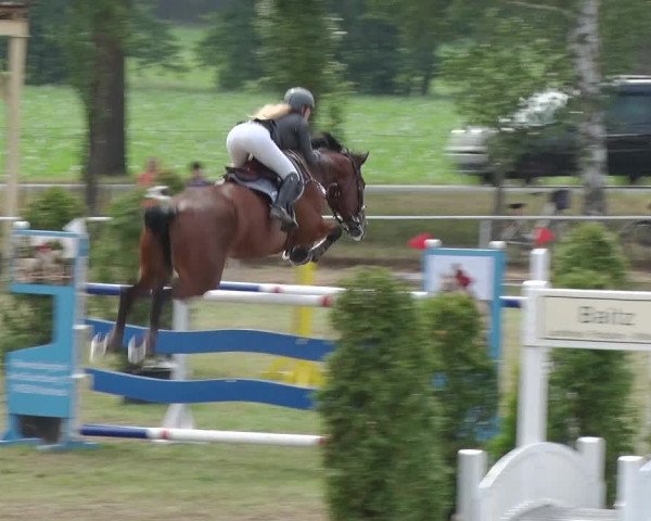 Reitturnier Schwanebeck 2018