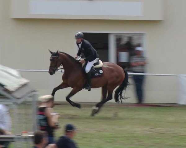 Reitturnier Schwanebeck 2018