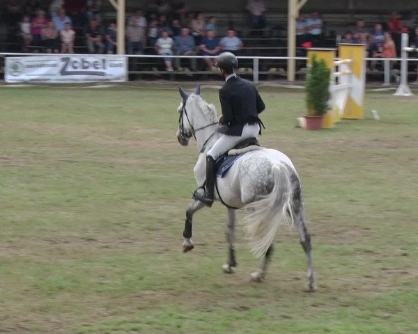 Reitturnier Schwanebeck 2018