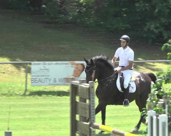 Reitturnier Legelshurst 2018