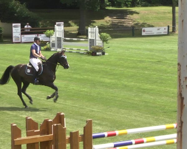 Reitturnier Legelshurst 2018