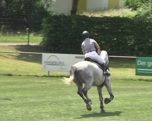 Reitturnier Legelshurst 2018