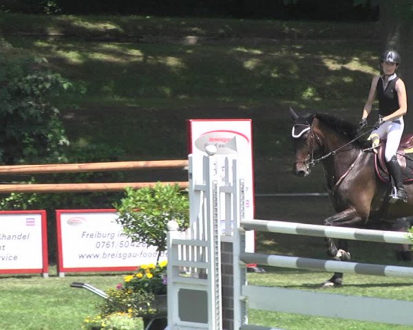 Reitturnier Legelshurst 2018