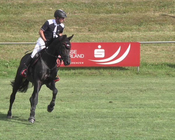 Reitturnier Legelshurst 2018