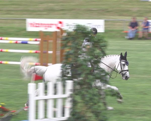 Reitturnier Legelshurst 2018