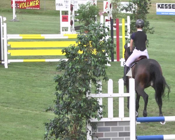 Reitturnier Legelshurst 2018