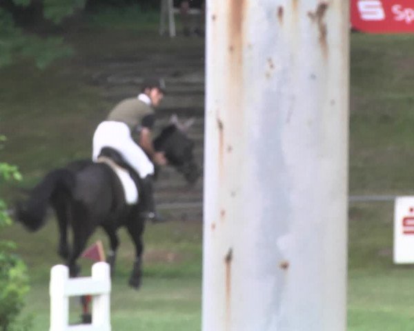 Reitturnier Legelshurst 2018