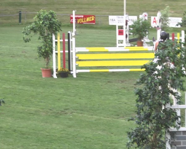 Reitturnier Legelshurst 2018
