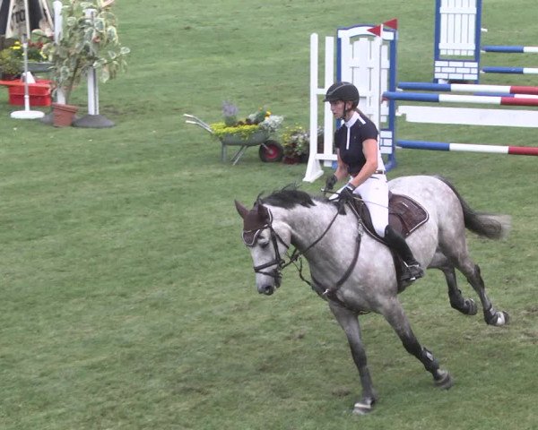 Reitturnier Legelshurst 2018