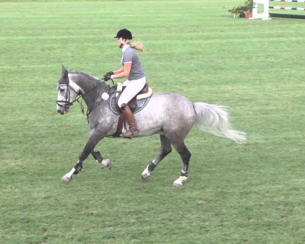 Reitturnier Legelshurst 2018