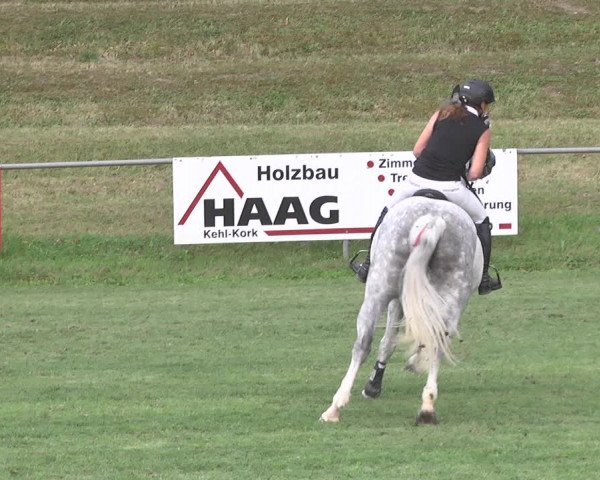 Reitturnier Legelshurst 2018