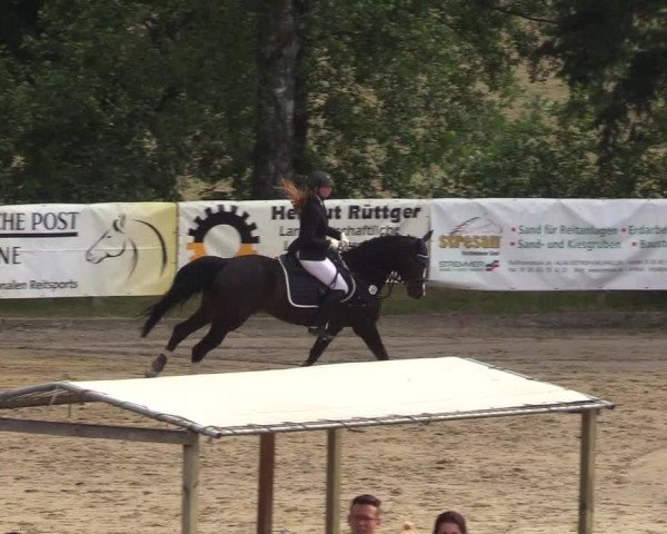 Reitturnier Erkrath - Uhlenhof 2018