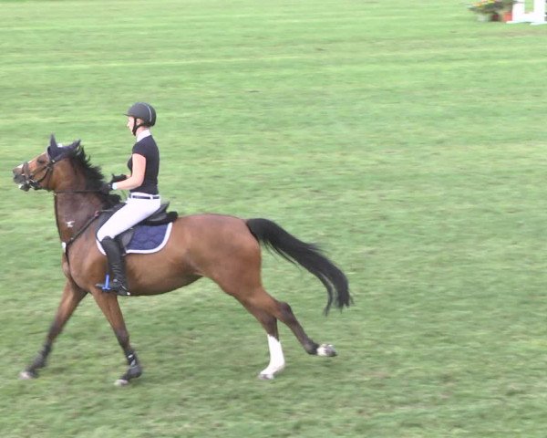 Reitturnier Legelshurst 2018