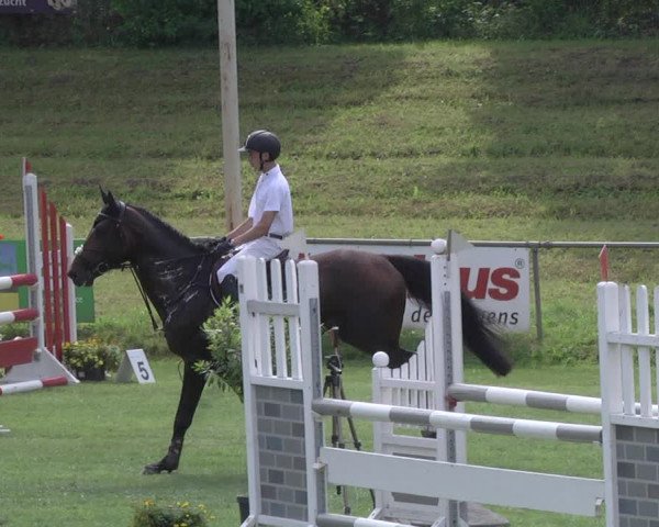 Reitturnier Legelshurst 2018