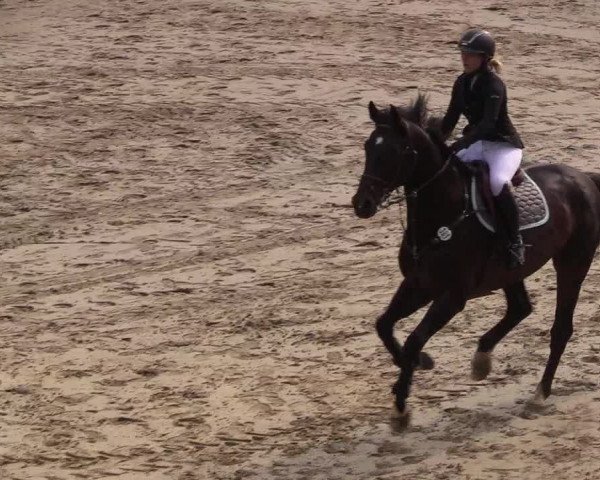 Reitturnier Erkrath - Uhlenhof 2018