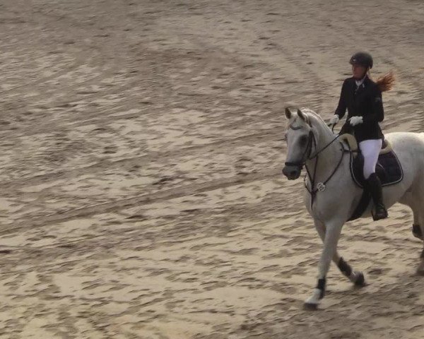 Reitturnier Erkrath - Uhlenhof 2018