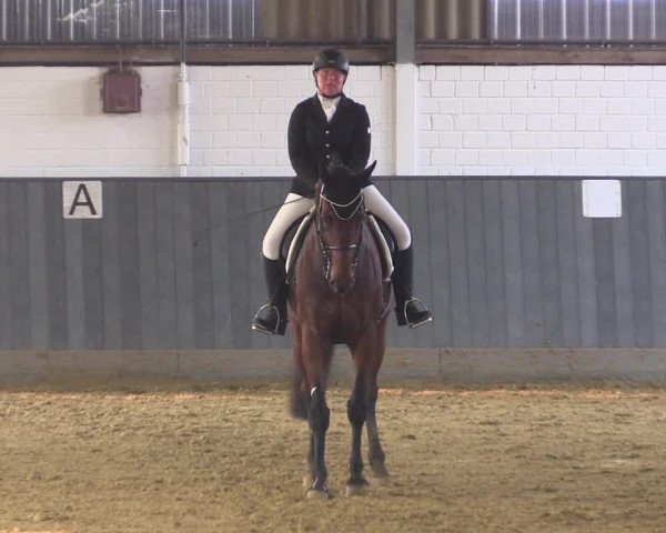 Reitturnier Dortmund-Asseln 2018