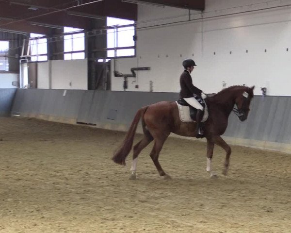 Reitturnier Dortmund-Asseln 2018