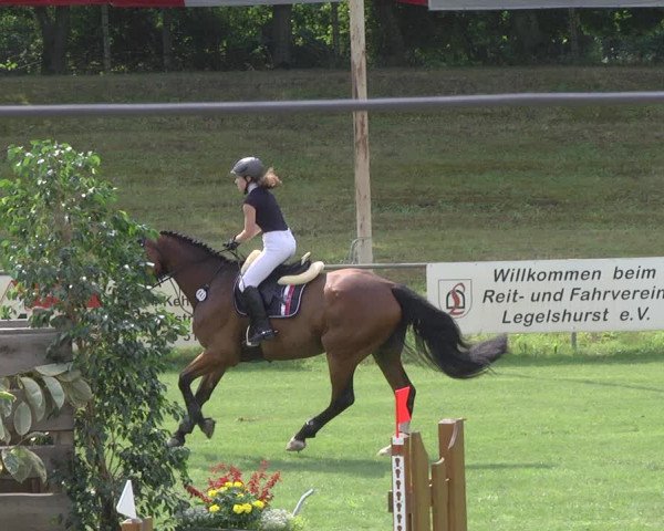 Reitturnier Legelshurst 2018