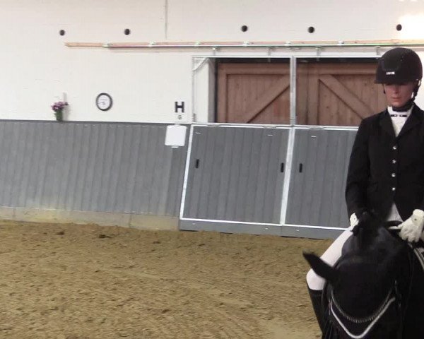 Reitturnier Dortmund-Asseln 2018