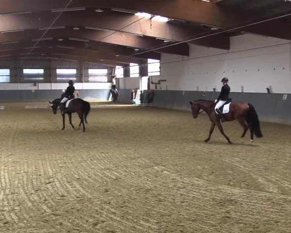 Reitturnier Dortmund-Asseln 2018